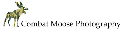 Combat Moose Photography